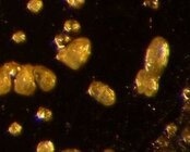 Laboratoire Spectromtrie de masse biologique et protomique